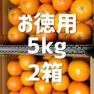 tankan-003