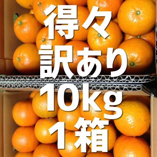 得々訳ありたんかん 10kg | 屋久島農園たなかん注文サイト